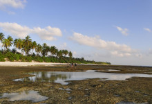 nattu_4106032744
